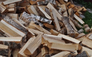 Продам дрова Днепропетровск #1226038