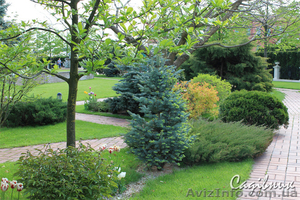 Уход за садом   #420594