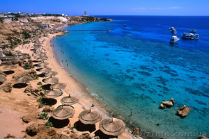 Туры в Египет от 380долл #1221070