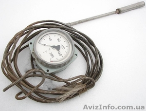 Термометр ТПГ-Ск (0-100С) #1223089