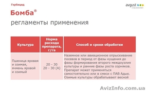 Уникaльный гeрбицид Бомба (Август) Расход 25 г/га. #1219278