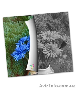 Раскраска черно белых фотографий и изображений #1212667