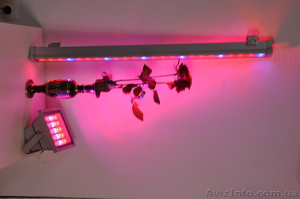 Светодиодный светильник для теплиц 30W #1223123