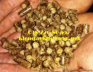 Древесные пеллеты (гранулы),  Украина. #1216426