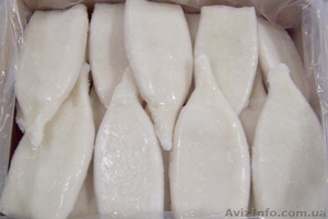 Кальмар туба в Одессе.  #1216004