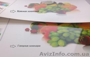 Ламинация недорого #1226205