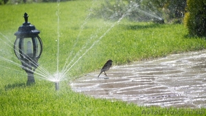 Системы полива.Автоматический полив в Одессе #1225529