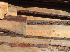 Куплю доску подгорбыльную. #1220944