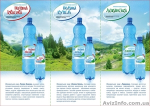 Карпати-Буд.ООО.Поляна Квасова. #1213367