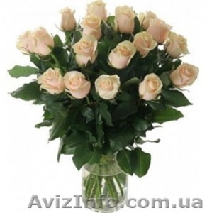 Букеты из роз  #1222541