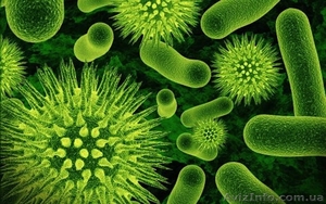 Дыхательный тест на Синдром Избыточного Бактериального Роста в Донецке #1233776