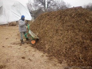 Продаем навоз коровий из фермерского хозяйства #1237448