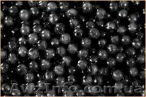 предлагаем икру черную зернистую осетровых рыб #1232241