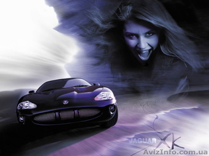 Autokar-profi    #1213927