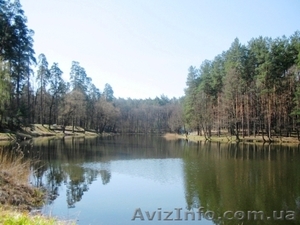 Квартира в живописном хвойном районе Кременчуга #1237674