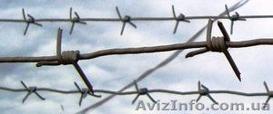 проволока колючая оцинкованная #1233046