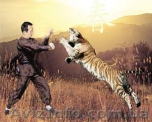 Оздоровительный Цыгун в боевом искусстве 