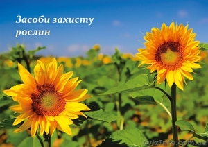 Протравители и Пестициды #1131341