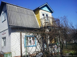 Дача в черте города. Общество