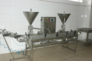 Продажа установки упаковочной ИДУ ( Украина ).  #1242134