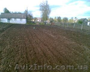 Продам дерев'яний будинок (старенький) Житомирська обл. м. Баранівка #1241016