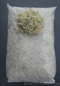 Мох сфагнум (Ph 3, 0-4, 0) #1233694