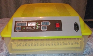 Инкубатор на 132 перепелиных яица #1235232