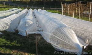 Продажа парников для дачи и огорода с доставкой по Украине за 2 дня #1239769