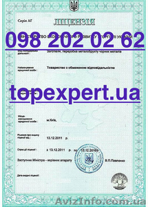 Лицензия на операции с ломом черных и цветных металлов #1229314