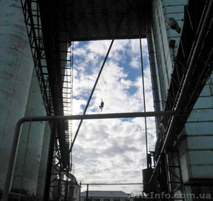 Высотные работы,  утепление квартир,  срезание деревьев,  ремонт элеваторов #1233354