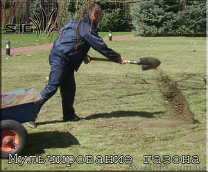 Мульчирование газона (землевание газона) #1037498