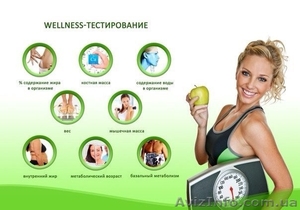 Комплексное  тестирование организма #1232797