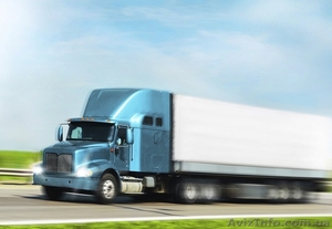 Помощь в оформлении таможенных документов #1240216