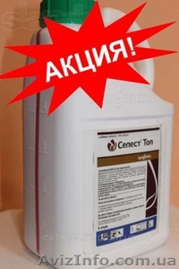 Селест топ 312, 5 купить,  Селест топ 312, 5 продажа,  Селест топ 312, 5 цена #1229677