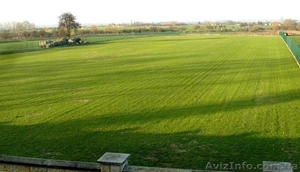 Куплю землю за «Епіцентром»,  «Екватором» або Поліклінікою №3. #1231440