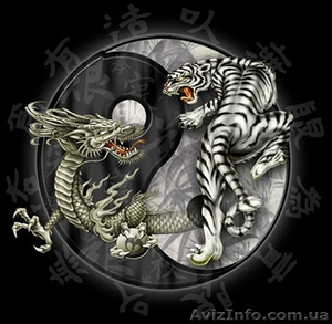 Занятия по йоге,  кунг-фу,  цигун #1228929