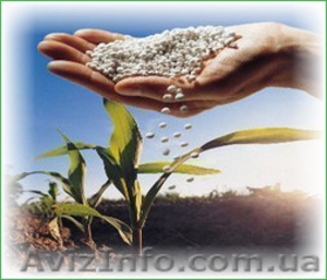 Карбамид,  селитра (минудобрения),  NPK по Украине и на экспорт. #1246193