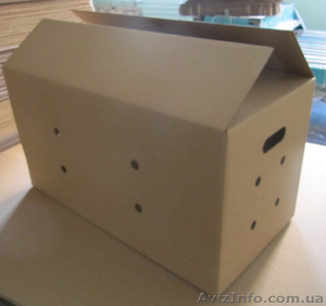 Ящики лотки для Яиц #1257227