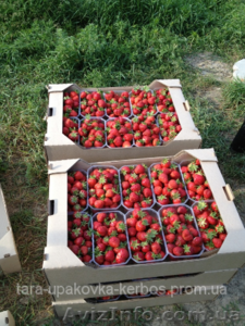 Упаковка для клубники #1257206