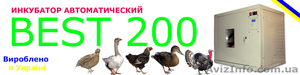 Автоматический инкубатор Best – 200 #1251089