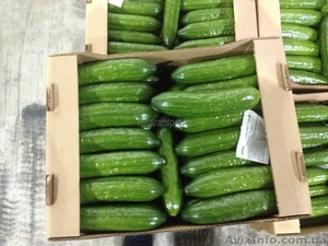 Ящики для Огурцов #1257224