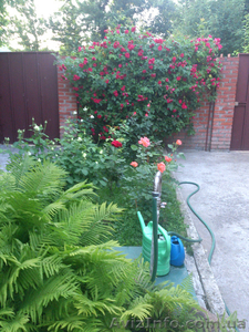 Продам дом на Тюринке (Площадь Восстания) #1257784