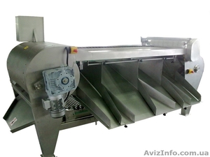 Роликовый калибровщик для овощей и фруктов #1246397