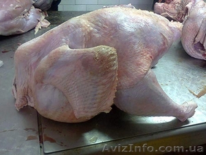 Реализуем мясо индейки #1248159