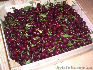Ящики для Черешни #1257215