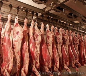 Говядина в/с,  1с,  2с в блоках замороженная,  (полутуши, четверти) #1250122