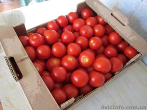 Ящики для Помидоров,  #1257228