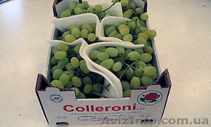 Ящики для Винограда #1257238