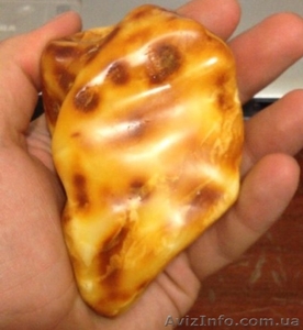 Куплю янтарь, бурштын, куски нефрита #1258870
