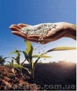 Діамофоска NPК  16:16:16 #1269720